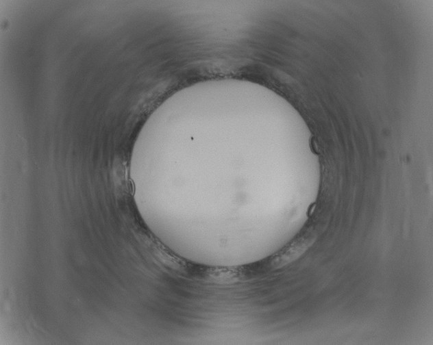 X0000071770624200607211533