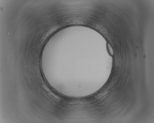 X0000071770625200607211532