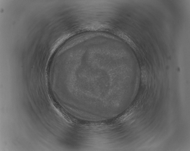 X0000071770626200607211532