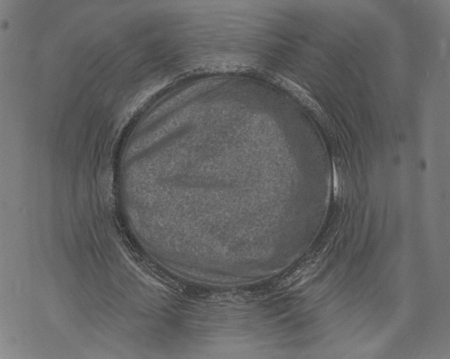 X0000071770627200607211532