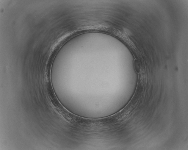 X0000071770628200607211532