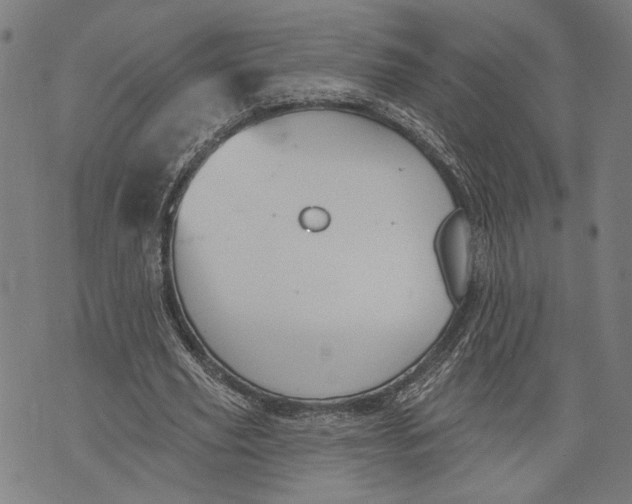 X0000071770629200607211532