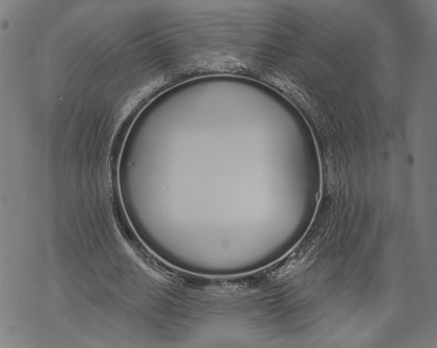 X0000071770630200607211533