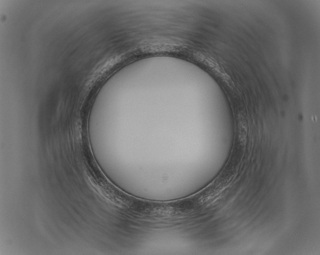 X0000071770631200607211533