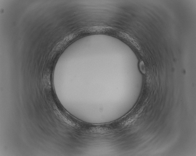 X0000071770633200607211533