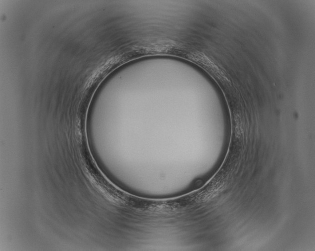 X0000071770634200607211533