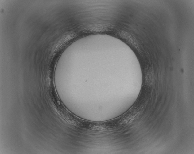 X0000071770635200607211533