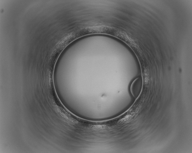 X0000071770637200607211533