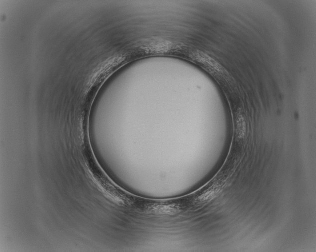 X0000071770638200607211533