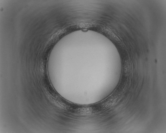 X0000071770639200607211533