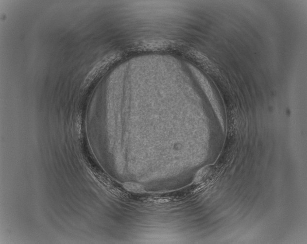 X0000071770640200607211533