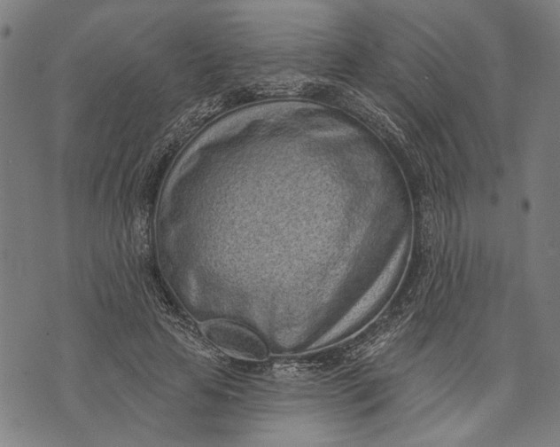 X0000071770641200607211533