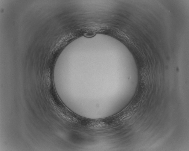 X0000071770642200607211533