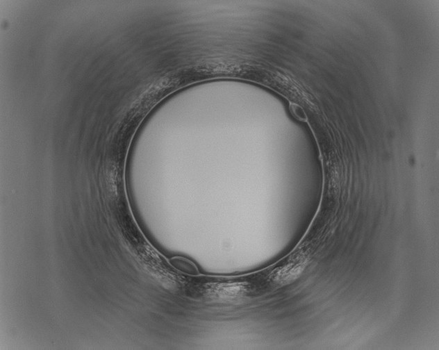 X0000071770643200607211533