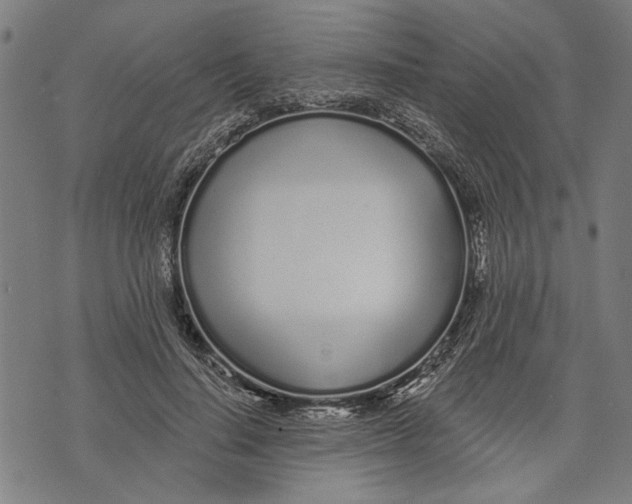 X0000071770644200607211533