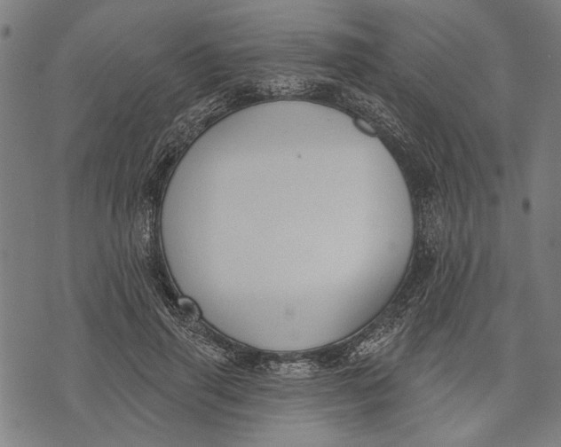 X0000071770645200607211533