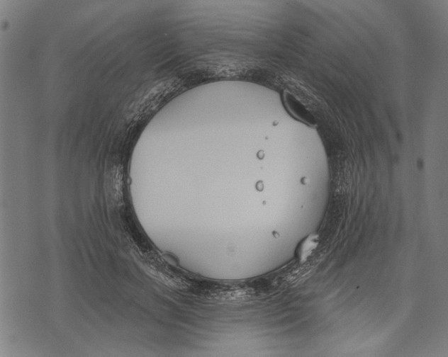 X0000071770646200607211533