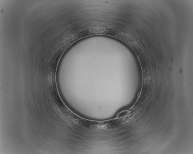 X0000071770647200607211533