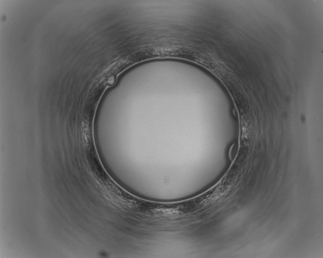 X0000071770648200607211533