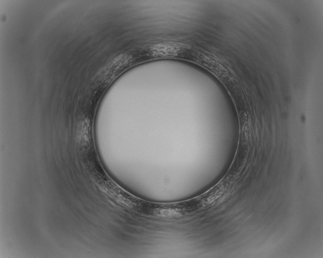 X0000071770649200607211533