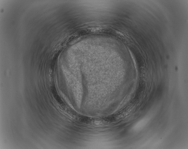 X0000071770650200607211533