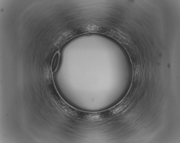 X0000071770651200607211533