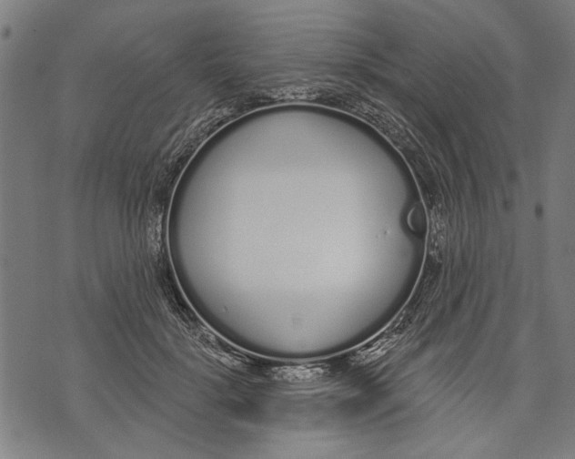 X0000071770652200607211533