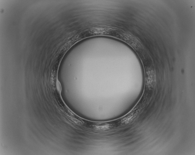 X0000071770653200607211533