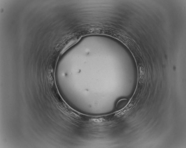 X0000071770654200607211533