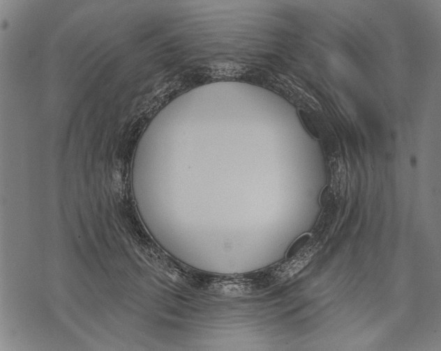 X0000071770655200607211533