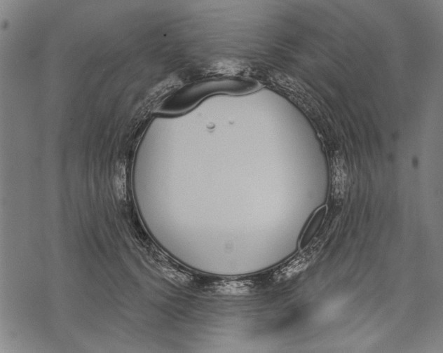 X0000071770656200607211533