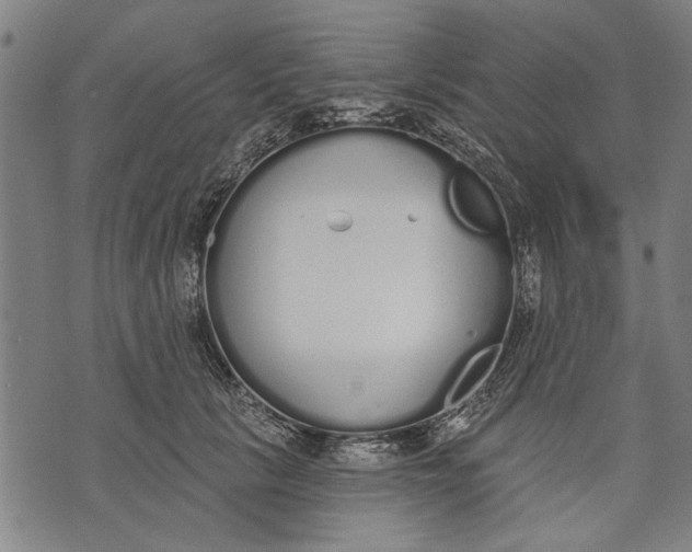 X0000071770657200607211533