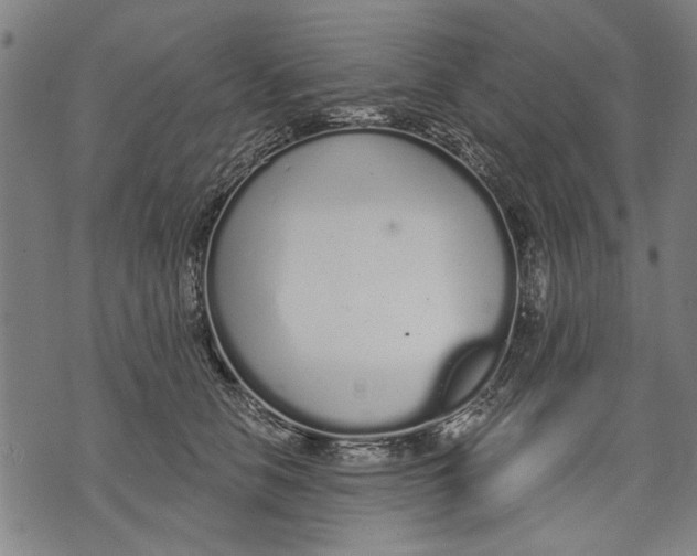 X0000071770658200607211533