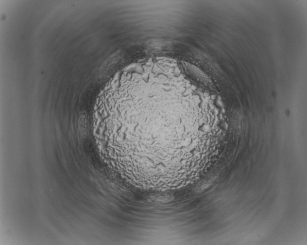 X0000071770659200607211533