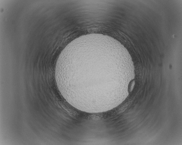 X0000071770660200607211533