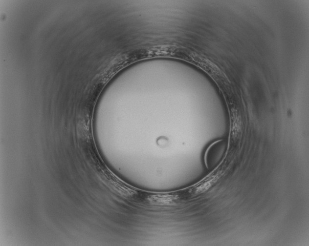 X0000071770661200607211533