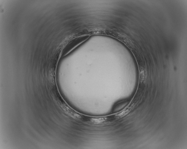 X0000071770662200607211533