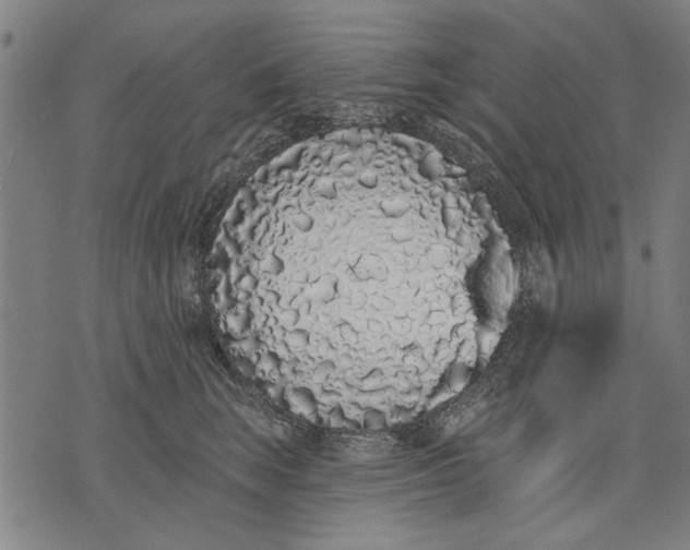 X0000071770663200607211533