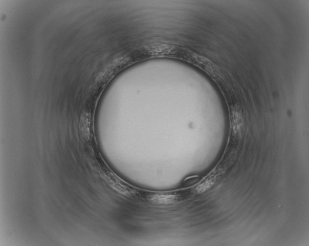 X0000071770664200607211533