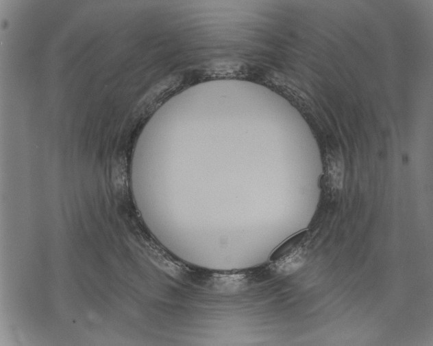 X0000071770665200607211533