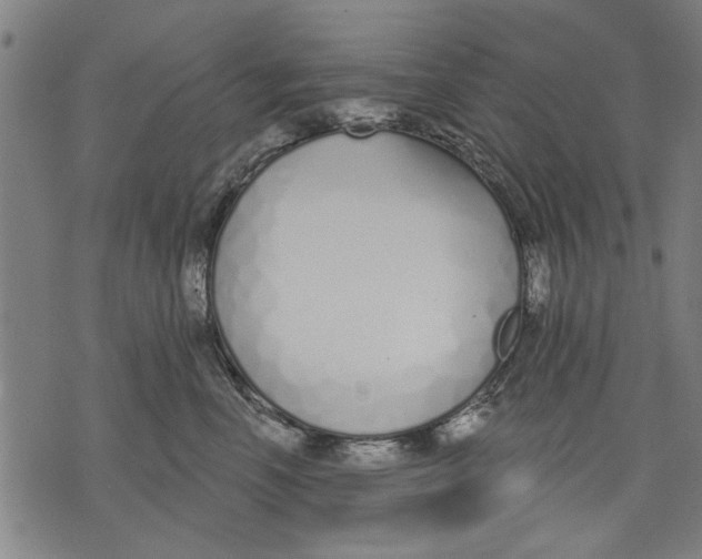 X0000071770666200607211533