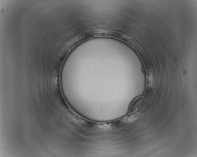 X0000071770668200607211533