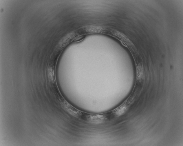 X0000071770669200607211533