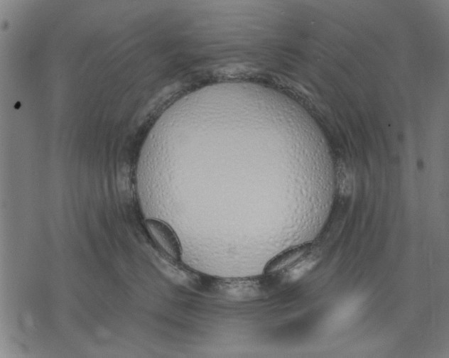 X0000071770670200607211533