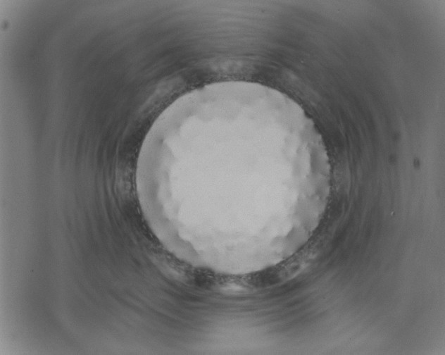 X0000071770671200607211533