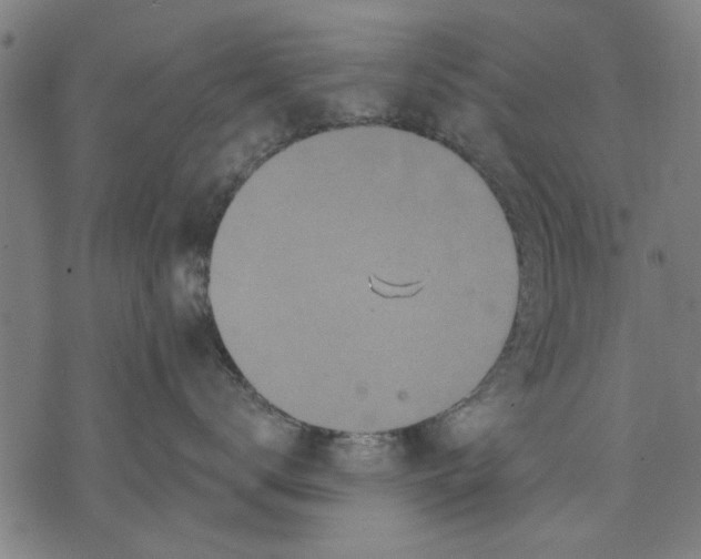 X0000071770672200607211533