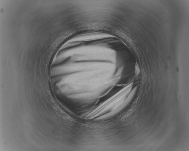 X0000071770673200607211532