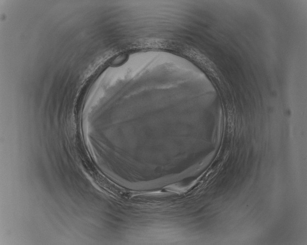 X0000071770674200607211532