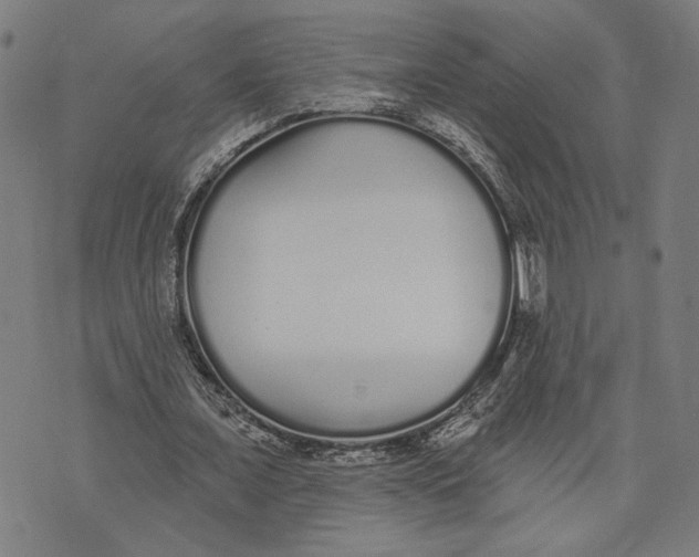 X0000071770675200607211532