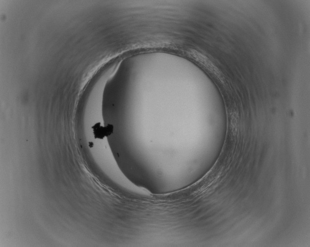 X0000071770676200607211532